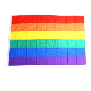 Regenboog vlag met de afmeting 100x150 centimeter van het merk fosco industries